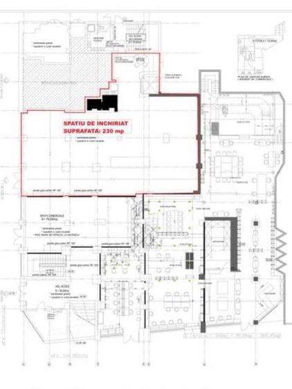 Kiseleff-adiacent, ideal show-room premium, un birou de r... - 3