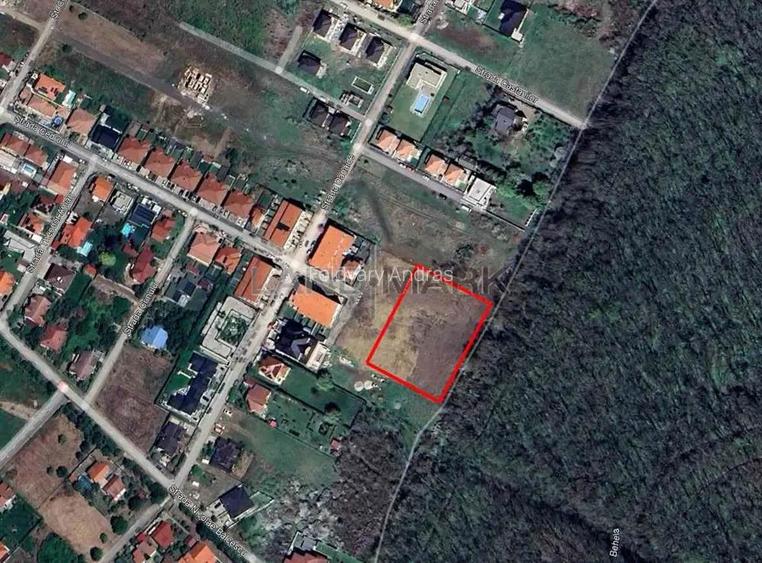 Teren de SERVICII de vanzare in zona Dumbravita padure Teren de SERVICII de vanzare in zona Dumbravita padure