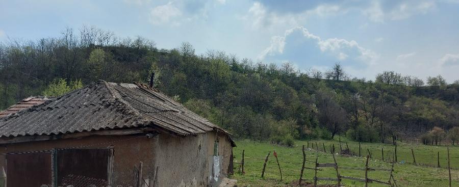 Teren intravilan 3109mp - 9