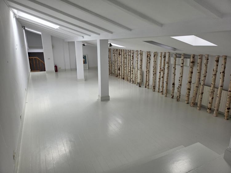 Vila interbelica de inchiriat/pretabila activitati comerciale/Victoriei - 19