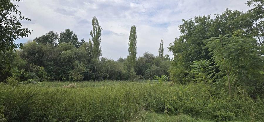 PROPRIETAR VAND 2 TERENURI intravilane - loc. CALACEA, Timis - 4