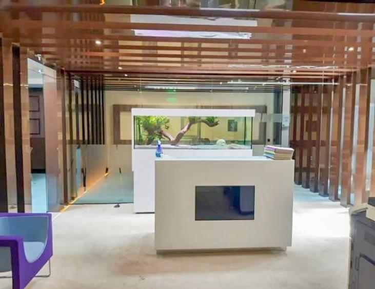 0% comision! Inchiriere birouri Romana, 233 mp - 15