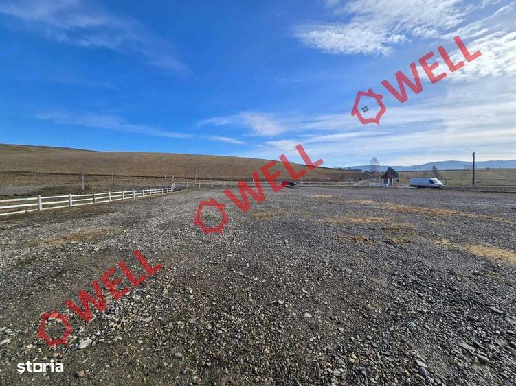 Teren de vanzare in comuna Barcani! - 5