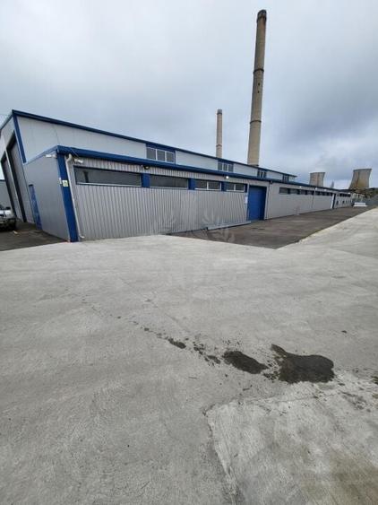 HALA 1800 MP//PLATFORMA BETONATA 5200 MP//ZONA BRAZI - 11