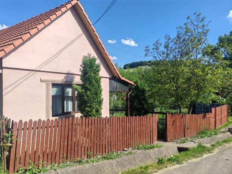 Casa de vanzare in Socolul de Campie cu teren 30 arii - 1
