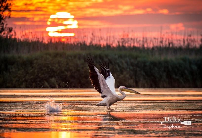 OPORTUNITATE - Mila 23, deschidere la apa, ponton - DELTA DUNARII - 2