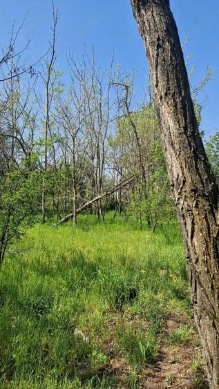 Casa de vanzare comuna Ianca jud olt - 3