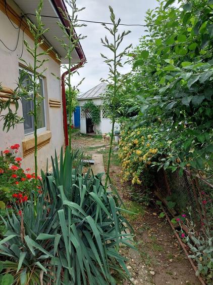 Vand casa de locuit si teren 4000 mp - 6