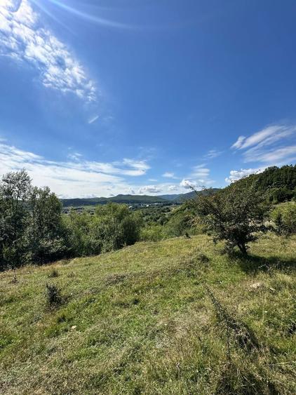 Teren 3.552 mp de vanzare (scrie pe whatsapp) Marginea, zona Dealu Fatului - 8