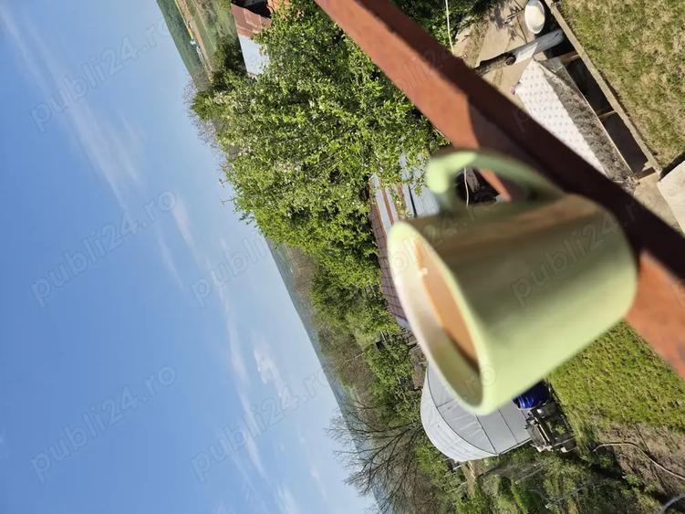 Casa de vanzare Coserele Prahova - 8