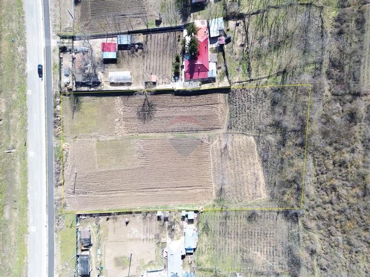 Teren Intravilan de vânzare  5.313 mp – Odaia Manolache, Jud. Galați - 4