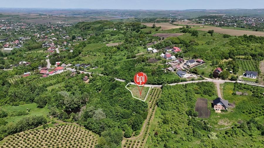 SE VINDE teren INTRAVILAN de 1313mp  + 18.687mp EXTRAVILAN, in RADASENI, SV - 6