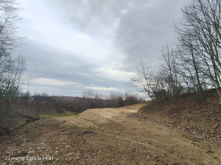 Teren extravilan Sibiel - Fantanele , vedere panoramica - 3