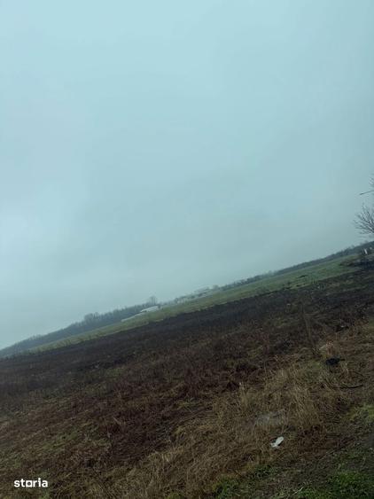 Teren langa case/ 230000mp/ deschidere 42m/ toate utilitatile - 1