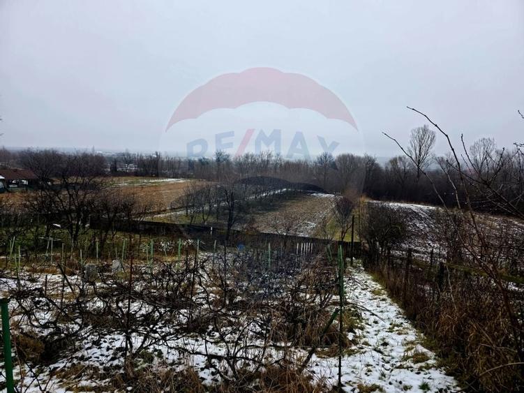 Teren intravilan 4,516mp Doina - 15