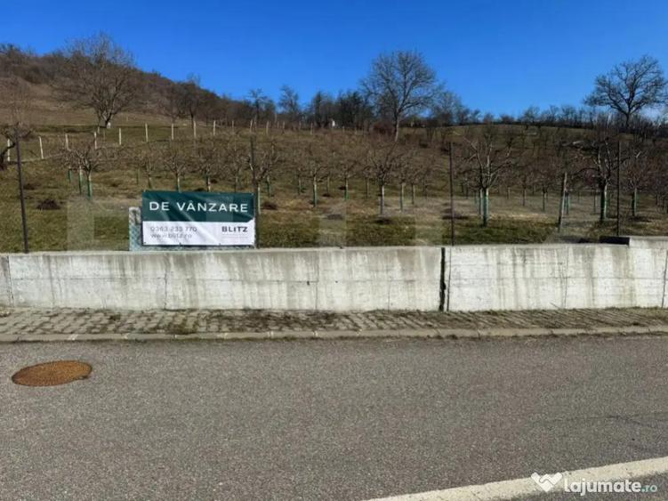 Teren de vanzare, Zona linistita, ideal construire - 6