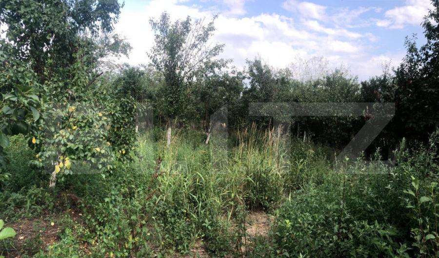 Casa individuala cu 4 camere, teren 2906 mp, la 3 km de Gaes - 7