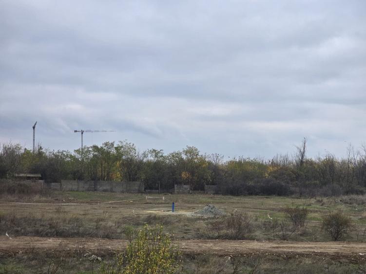 VANZARE TEREN THEODOR PALLADY - Drumul Lunca Corbului - 4