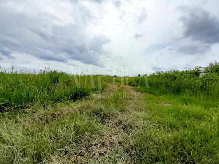 Teren intravilan pentru constructii de vanzare in Cheriu - 3