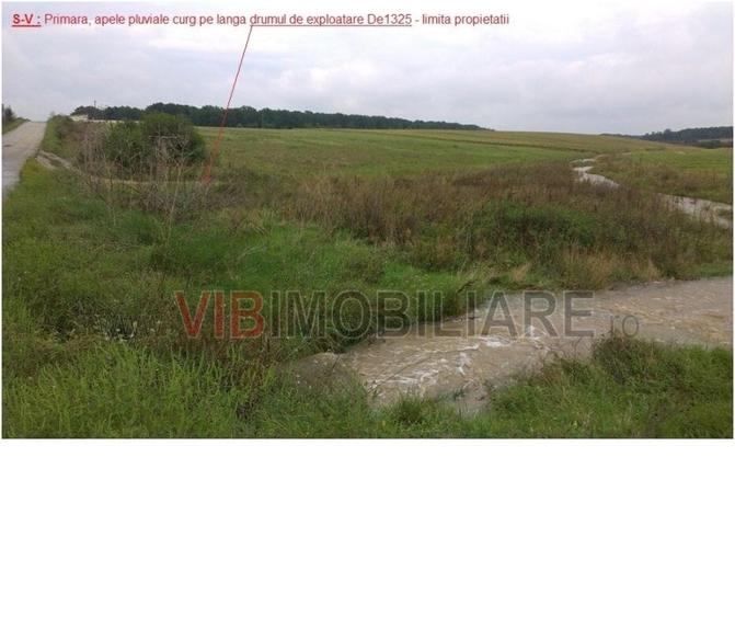 Craiova | Teren 17.400 mp | Deschidere 350 ml la DJ 552A | Între păduri de steja - 1