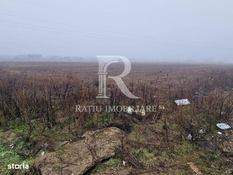 Teren intravilan | Santandrei | Bihor - 4