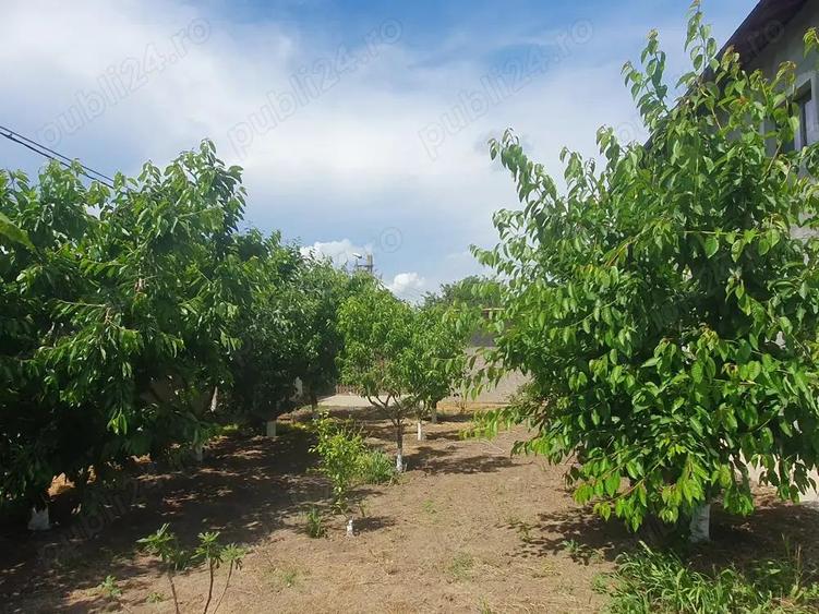 Vila de vanzare Str. Duzilor, mun. Tecuci, jud. Galati. - 3