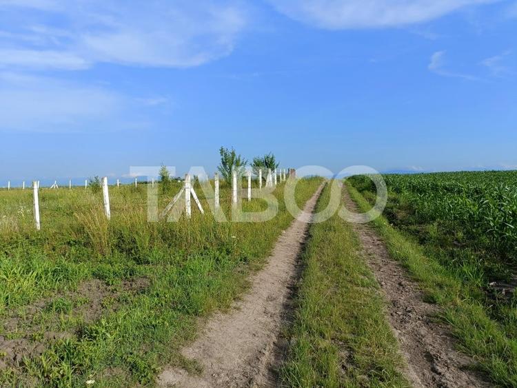 Teren 5000 mp in apropiere de case in Sura Mica - pretabil investitie - 1