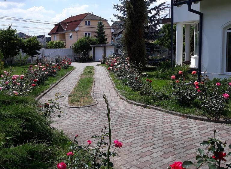 Vand casa lux,tip vila,Sangeorgiu de Mures,zona Apollo ,teren generos de 2200 mp - 8