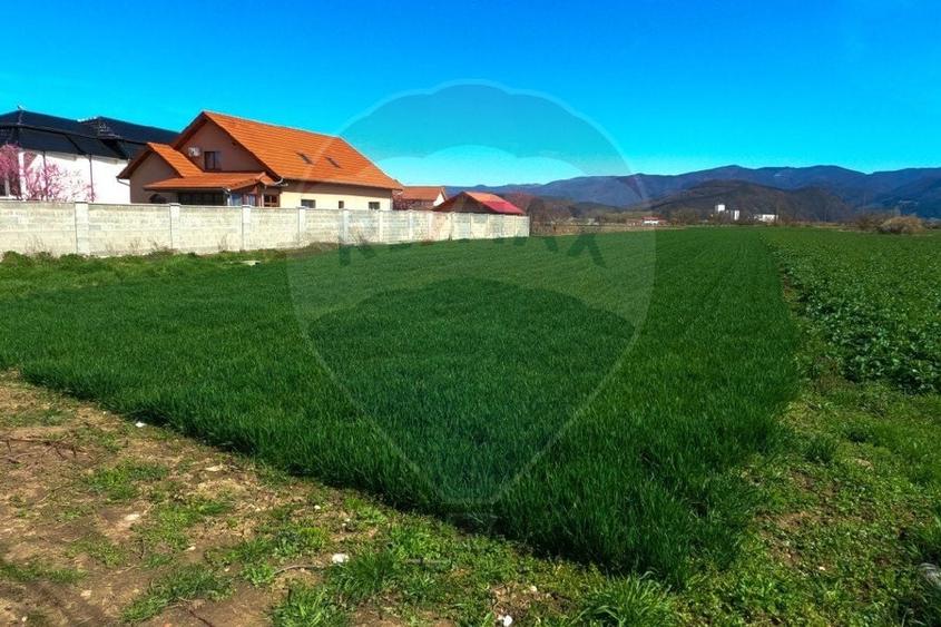 Teren Hateg / Strada Raul Mare ,jud Hunedoara - 3
