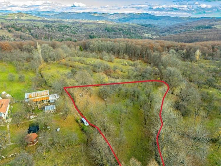 Teren intravilan 4384 mp – Comuna Talea,  județul Prahova - 1