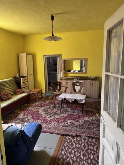 Vand casa locuibila in teremia mare - 4