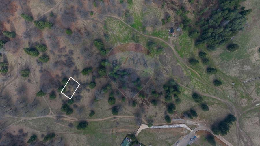 Teren de vanzare - 1000 mp in Poiana Mica | Investitie ideala! - 4