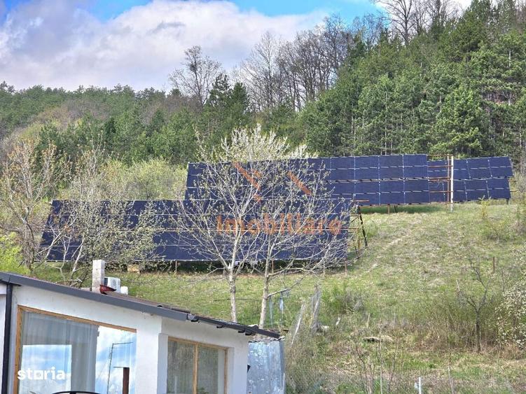 PROPRIETATE MULTIFUNCTIONALA | TEREN 3788 MP | SPALATORIE CAMIOANE + C - 9