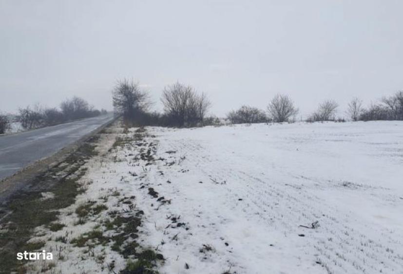 Teren extravilan Comuna Iratosu, judetul Arad - 3