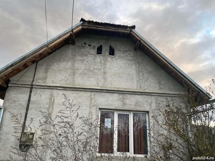 Vand casa sat Cisteiu de Mure? - 2