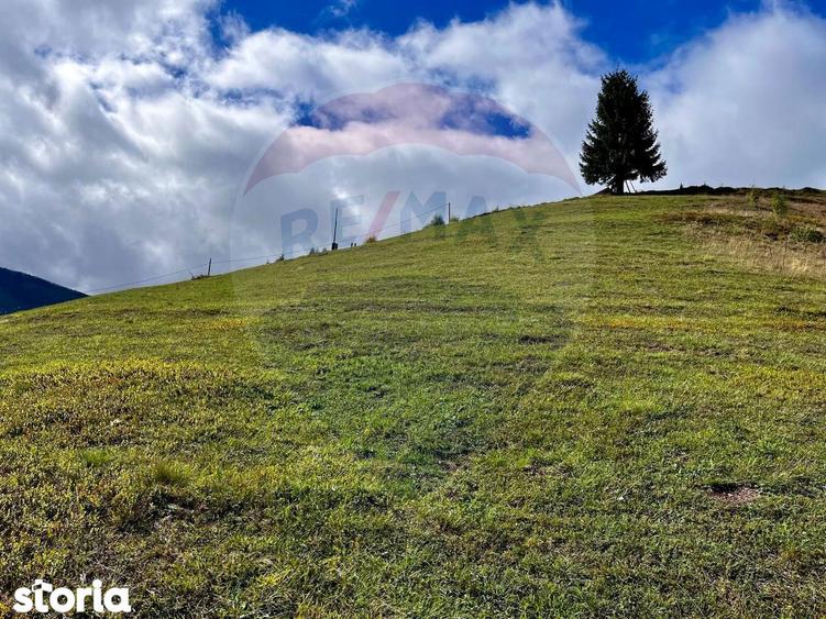 Oaza de lini?te in inima Apusenilor teren 6.500 mp Arie?eni - 3