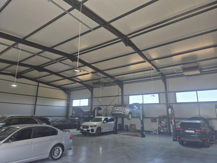 Hale de Inchiriat 600 mp Chitila - 6