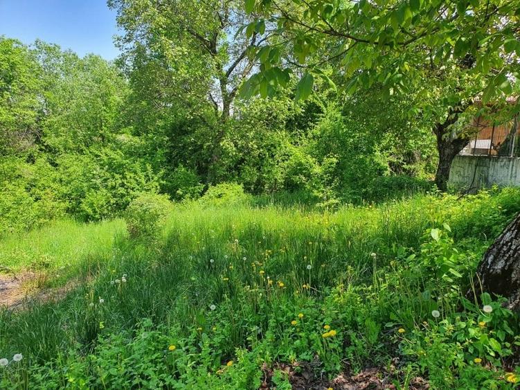 TEREN DE VANZARE - 3