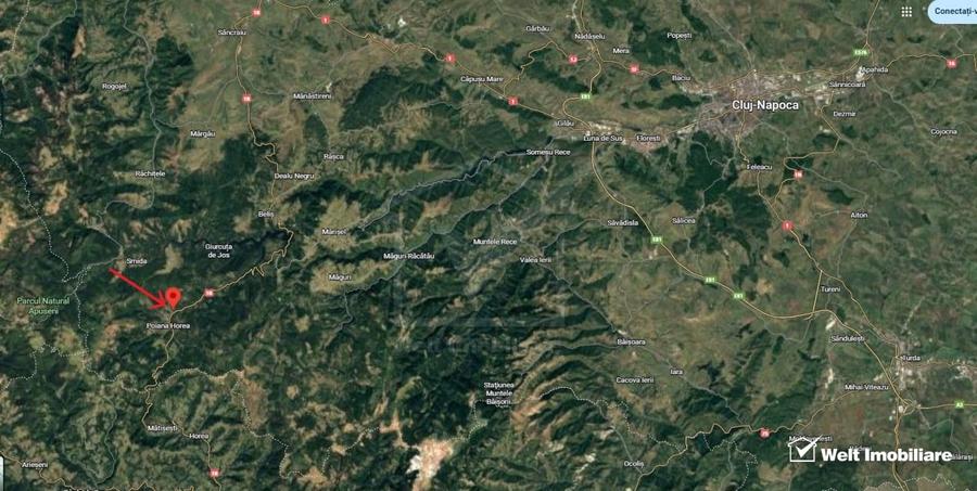 Teren intravilan de 56829 mp, în Beliș