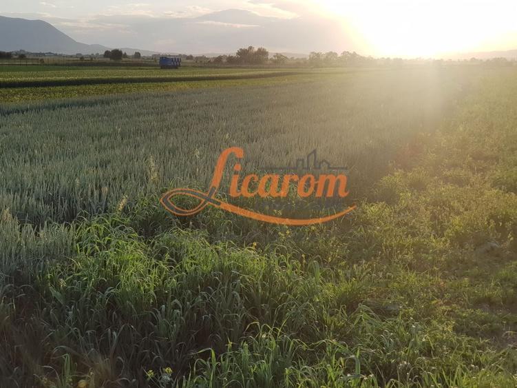 Teren Construcții intravilan de 4600 mp, în Stupini