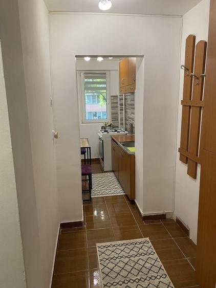 Apartament 2 camere de inchiriat Teiul Doamnei - 8