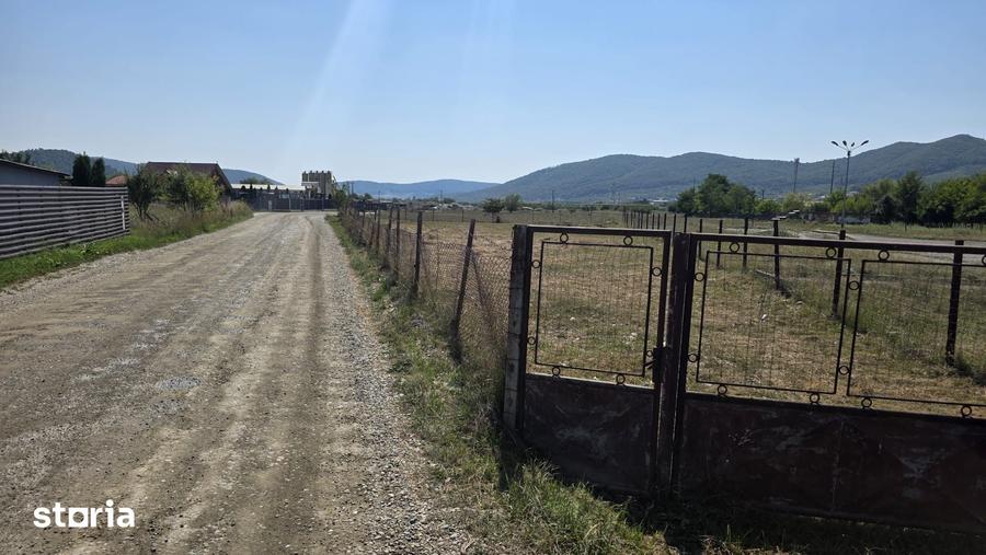 Teren de 1000 mp, în Viișoara