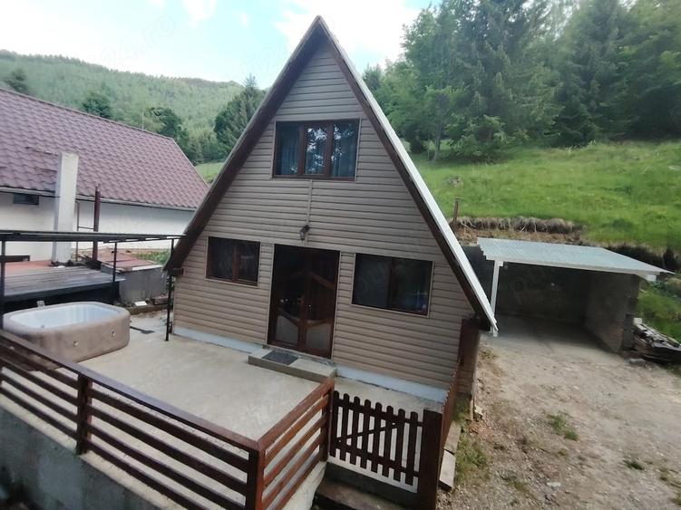 Casa de vacanta de vanzare Rau?or-Retezat - 2