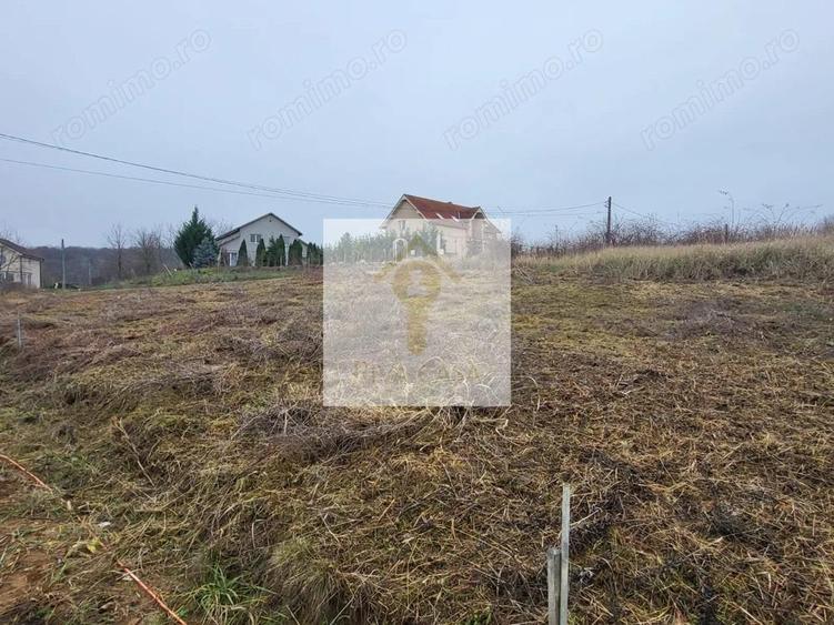 Teren extravilan Paleu - 4