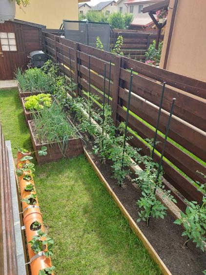 Casa 4C Valea Lupului-Iași - 9