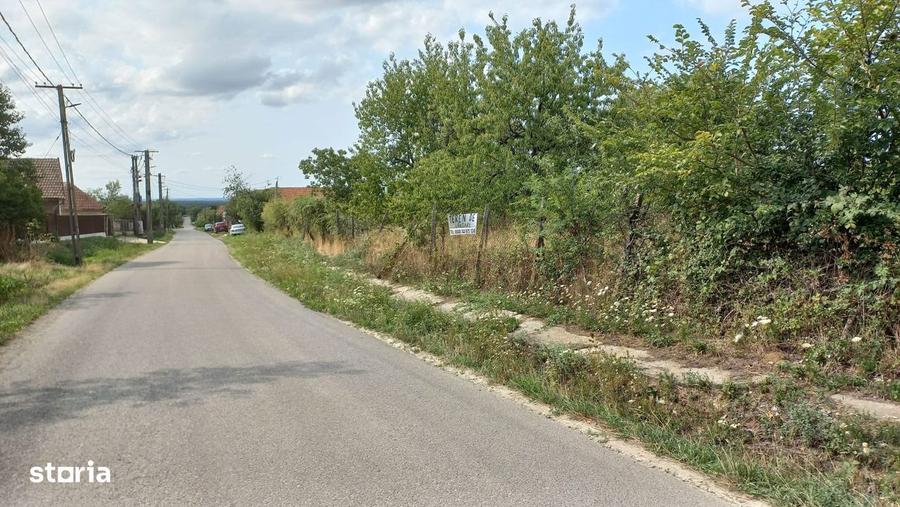 Teren loc de casa in Sisterea, langa Oradea, drum asfaltat, parcelabil - 2