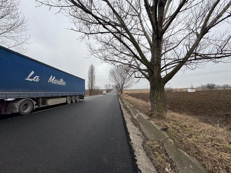 Vand teren la E85 Bacau-Roman - 2