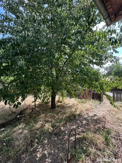 Casa Ciochina, Ialomi?a, 4 camere, 1610 mp teren - 4