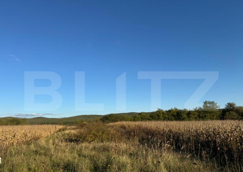 Teren extrvilan 1400mp in Branisca - 1