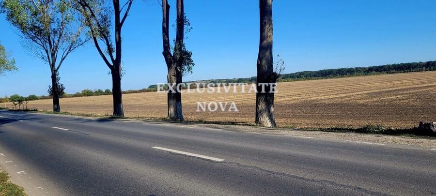 Vanzare teren Buftea TAMAS acces Autostrada A0 si Centura ocolitoare Buftea - 6